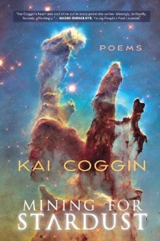 Cover of Mining for Stardust