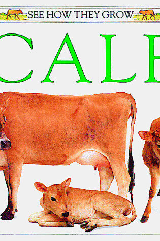 Cover of Calf