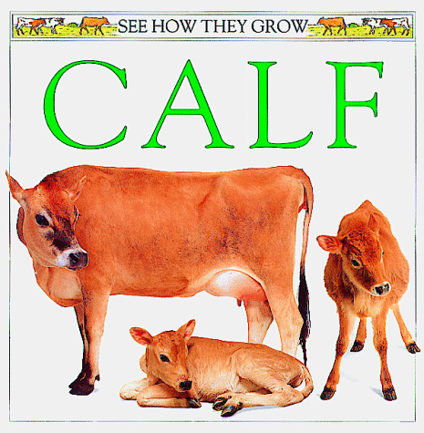 Book cover for Calf