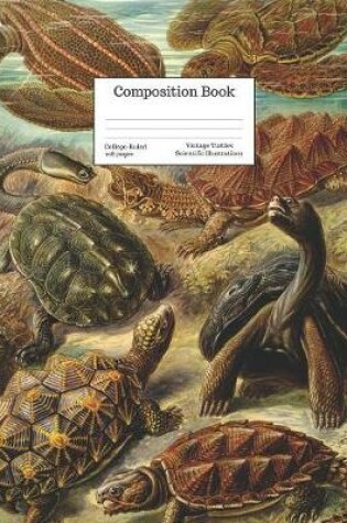 Cover of Composition Book College-Ruled Vintage Turtles Scientific Illustrations