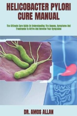 Cover of Helicobacter Pylori Cure Manual