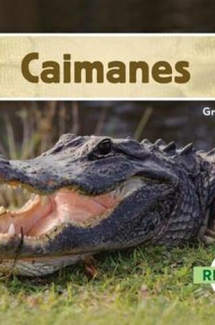 Cover of Caimanes