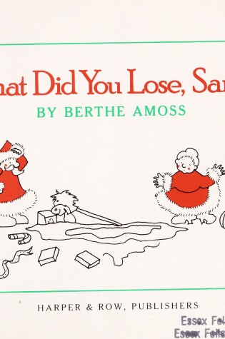Cover of What Did You Lose, Santa?