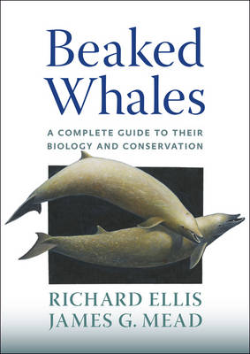 Book cover for Beaked Whales