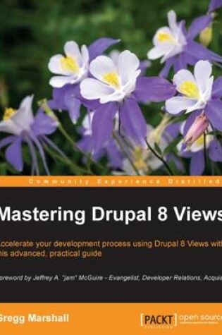 Cover of Mastering Drupal 8 Views