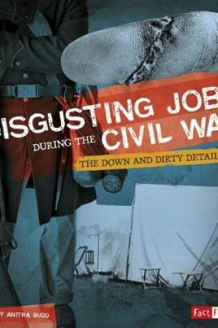 Cover of Disgusting Jobs During the Civil War