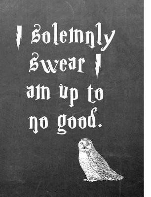 Book cover for I Solemnly Swear I Am Up to No Good.