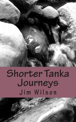 Book cover for Shorter Tanka Journeys