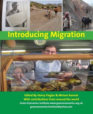 Cover of Introducing Migration