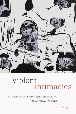 Book cover for Violent Intimacies