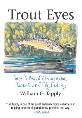 Book cover for Trout Eyes