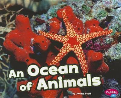 Book cover for An Ocean of Animals (Habitats Around the World)