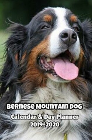 Cover of Bernese Mountain Dog Calendar & Day Planner 2019-2020