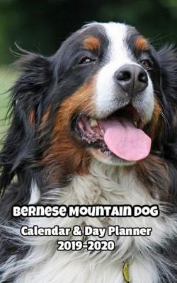 Book cover for Bernese Mountain Dog Calendar & Day Planner 2019-2020