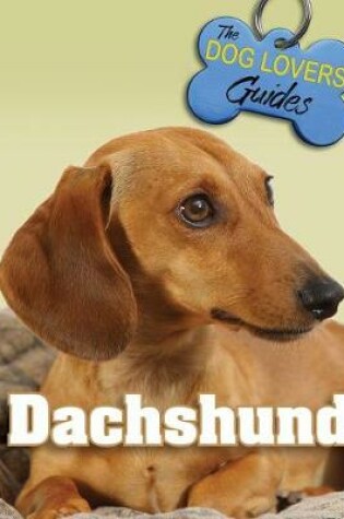 Cover of Dachshund