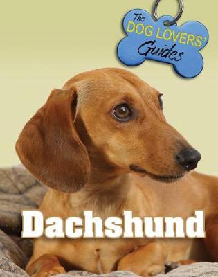 Book cover for Dachshund