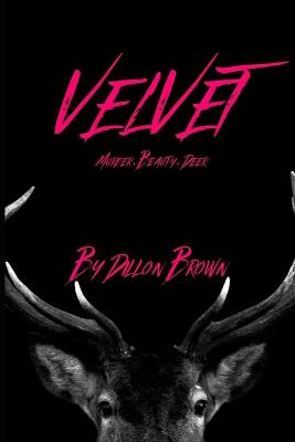 Book cover for Velvet