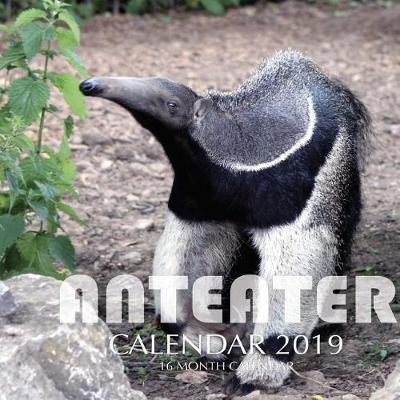 Book cover for Anteater Calendar 2019