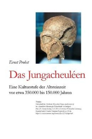 Cover of Das Jungacheuléen