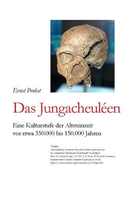 Book cover for Das Jungacheuléen