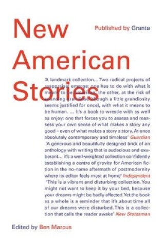 Cover of New American Stories