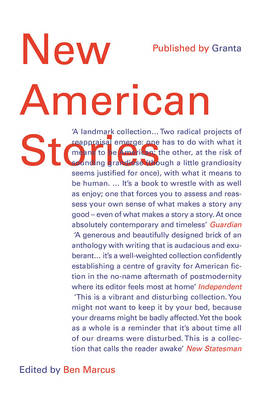 Book cover for New American Stories