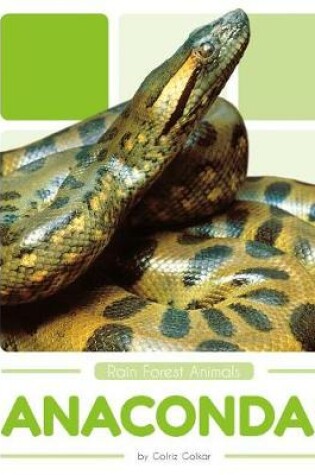 Cover of Anacondas