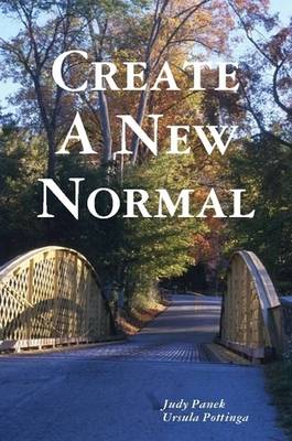 Book cover for Create A New Normal