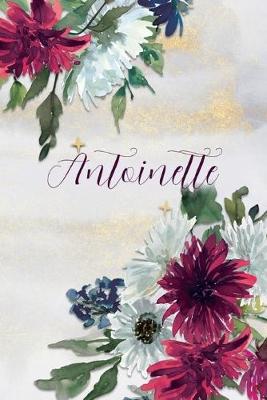 Book cover for Antoinette