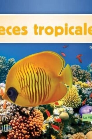 Cover of Peces Tropicales (Spanish Version)