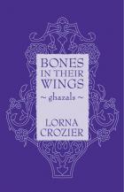 Book cover for Bones in Their Wings