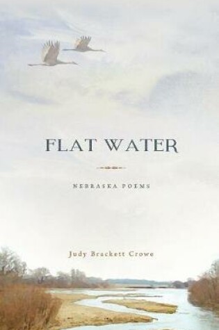 Cover of Flat Water