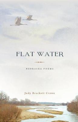 Book cover for Flat Water