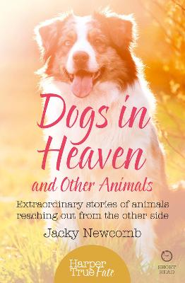 Cover of Dogs in Heaven: and Other Animals