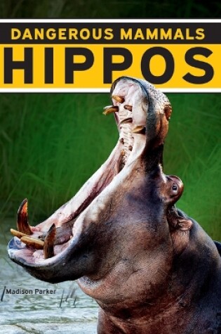 Cover of Hippos