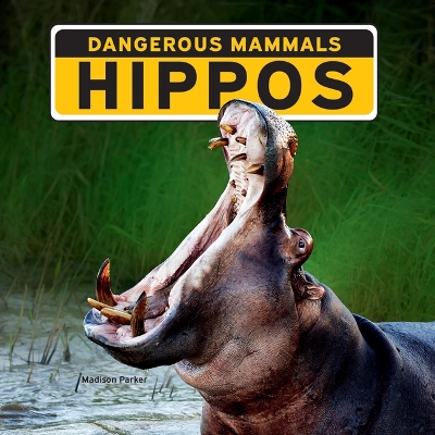 Cover of Hippos