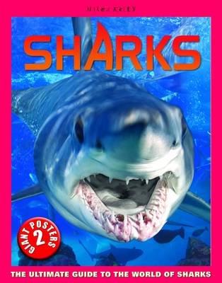 Cover of Sharks Poster Book