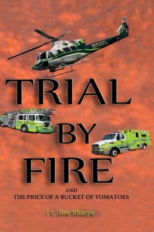 Cover of Trial By Fire