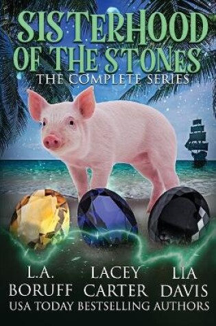 Cover of Sisterhood of the Stones