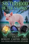 Book cover for Sisterhood of the Stones