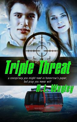 Book cover for Triple Threat Volume 4