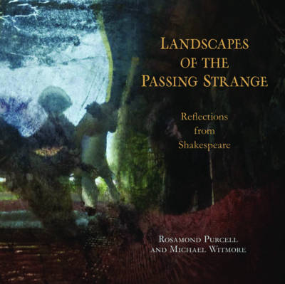 Book cover for Landscapes of the Passing Strange