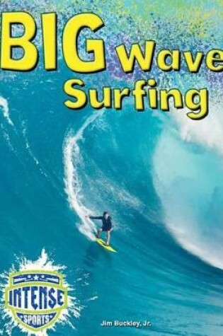 Cover of Big Wave Surfing