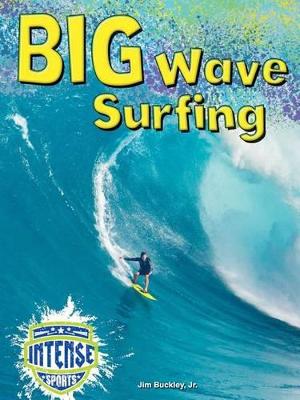 Book cover for Big Wave Surfing