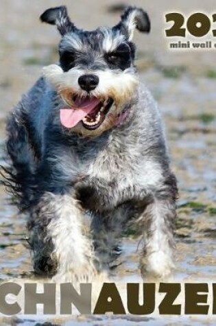 Cover of Schnauzer 2020 Mini Wall Calendar