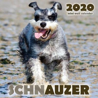 Book cover for Schnauzer 2020 Mini Wall Calendar