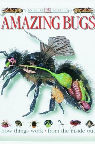 Cover of Amazing Bugs