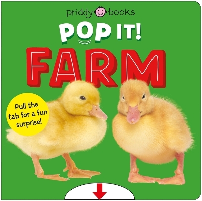 Book cover for Slide & Surprise Farm