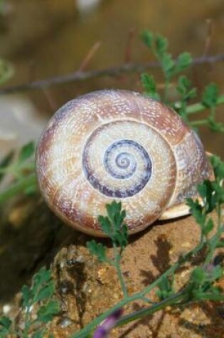 Cover of Spiral Snail Shell Journal