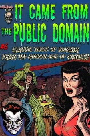 Cover of It Came From the Public Domain #6